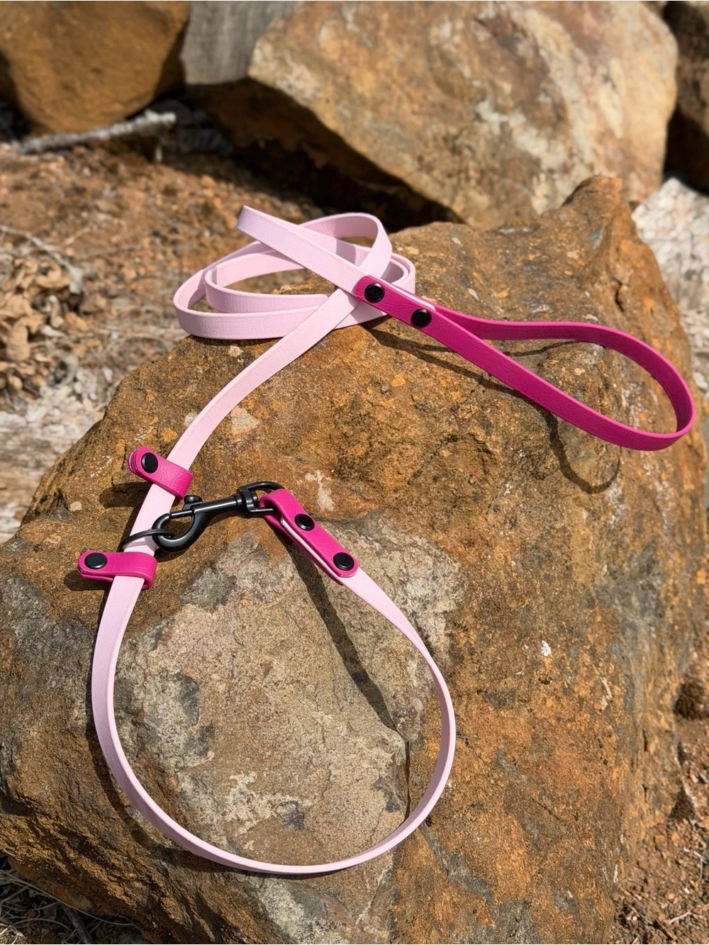 6ft Slip/Standard convertible lead